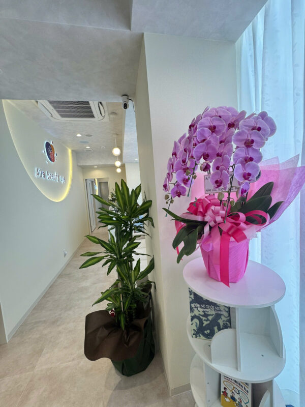 aila nail beauty spa pedicure manicure near me (4)